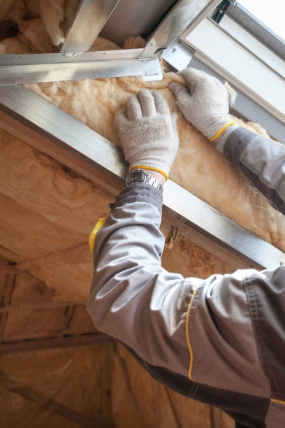 Best Eco-Friendly Insulation in Houston, TX
